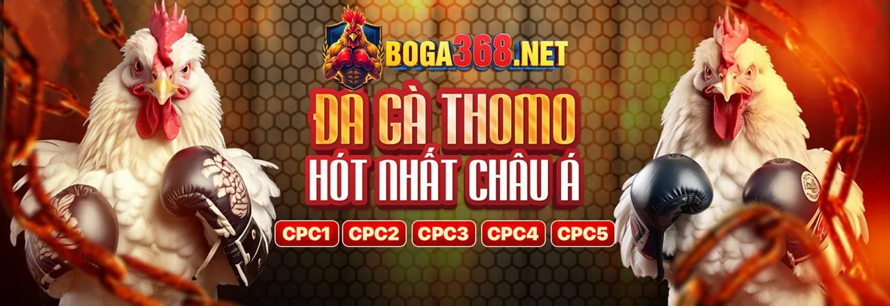 Nguồn hỗ trợ cho người có vấn đề cờ bạc